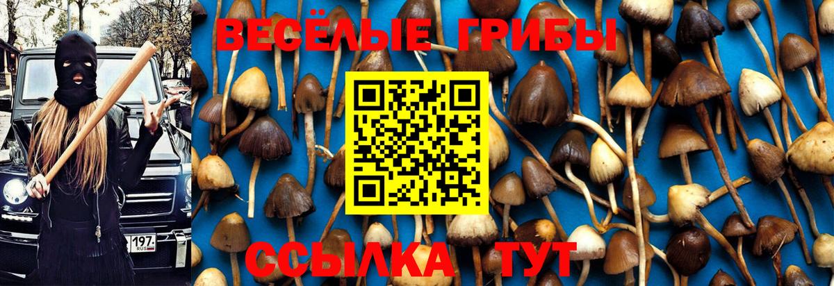 Псилоцибиновые грибы мицелий  Псилоцибиновые грибы Cubensis  Вход с VPN  Нижний Тагил 