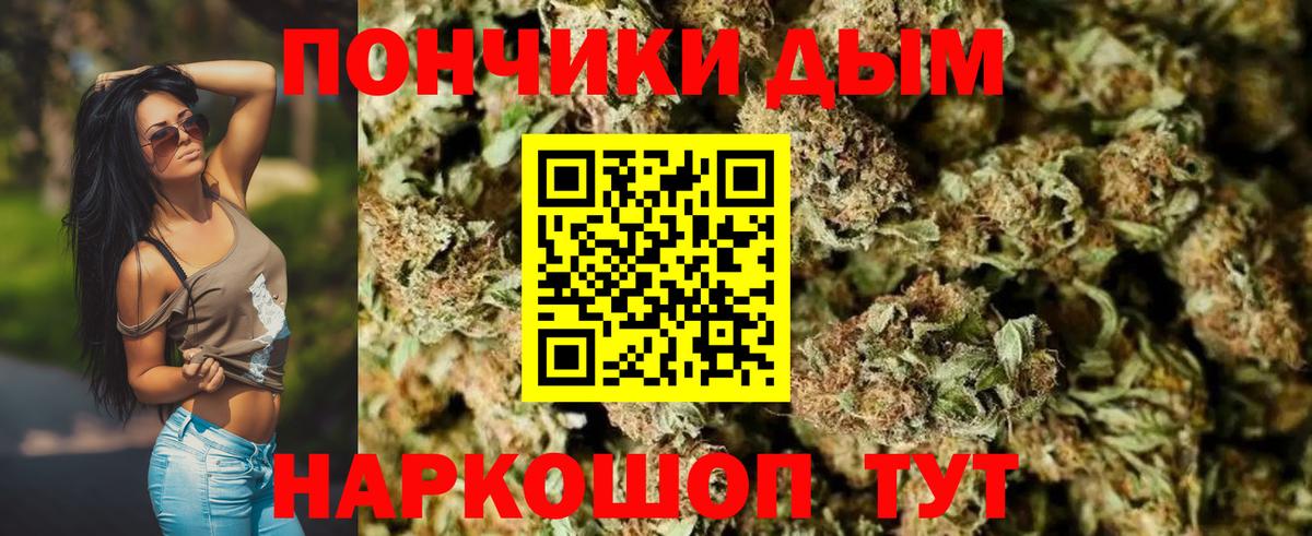 Бошки марихуана AK-47  Марихуана планчик  Вход с VPN  Нижний Тагил  Канабис VHQ  Каннабис MAZAR 